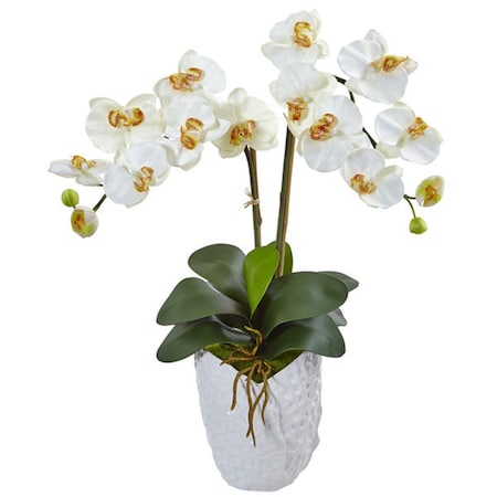 Dare2Decor Double Phalaenopsis Orchid in White Vase; Cream DA408374